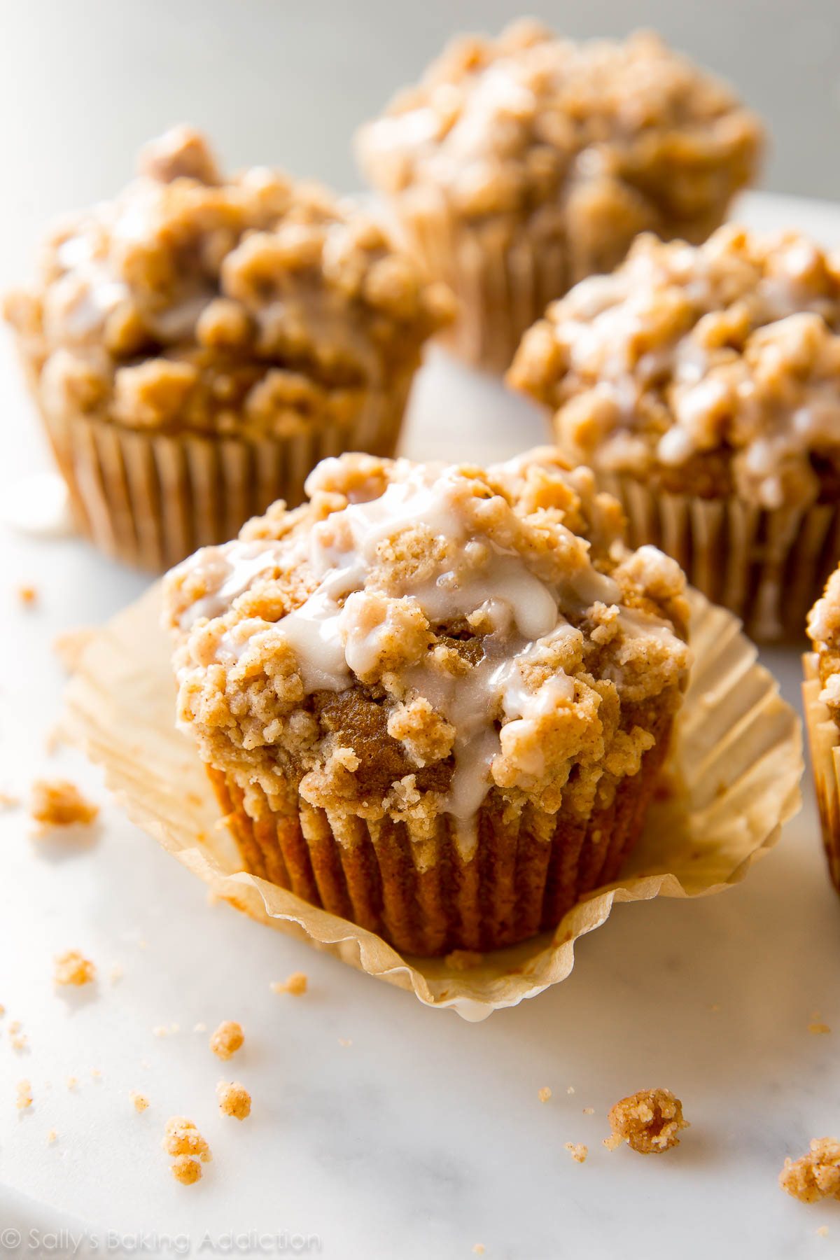 Pumpkin Crumb Cake Muffins, Delicious Muffins For the Whole Family